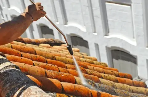 Nettoyage de toitures - Thoiré-sur-Dinan